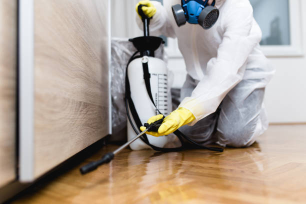 Best Local Pest Control Services  in Averill Park, NY