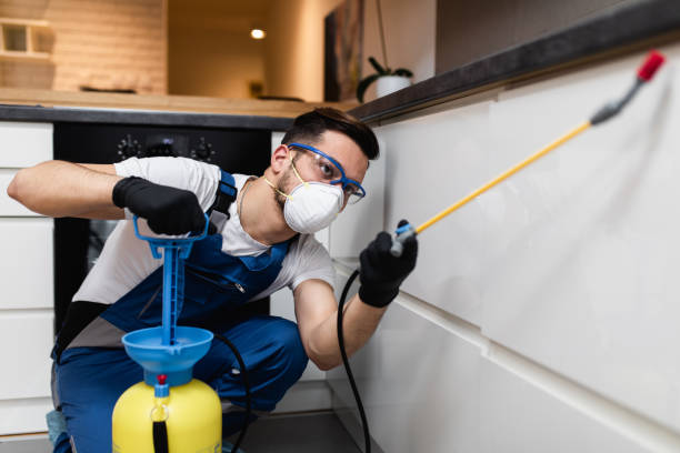 Best Residential Pest Control  in Averill Park, NY