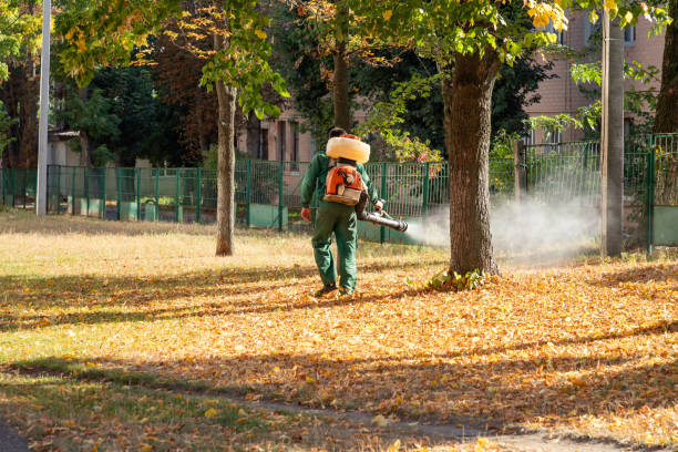 Best Cockroach Control Services  in Averill Park, NY