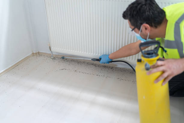 Best Affordable Pest Control Services  in Averill Park, NY